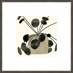 Plantling IV