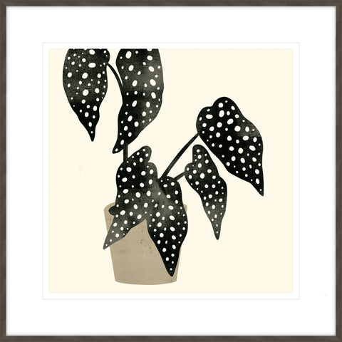 Plantling III