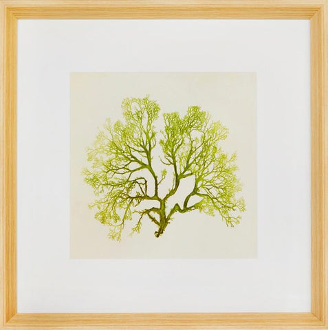 Biella Art framed prints melbourne