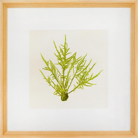 Biella Art framed prints melbourne