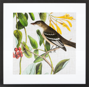 Biella Art framed prints melbourne