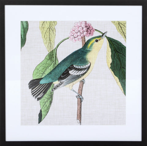 Biella Art framed prints melbourne