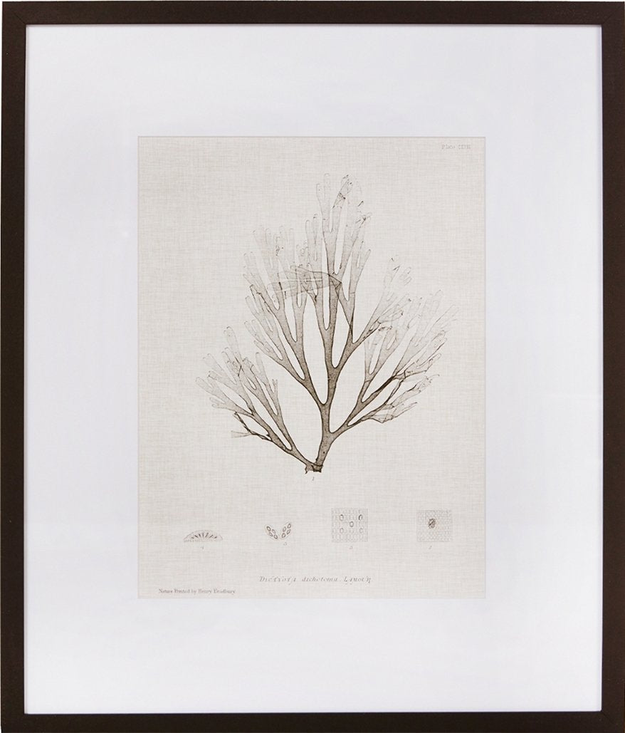 Biella Art framed prints melbourne