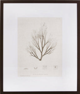 Biella Art framed prints melbourne