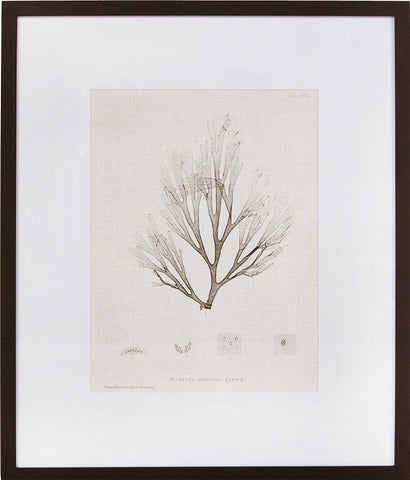 Biella Art framed prints melbourne