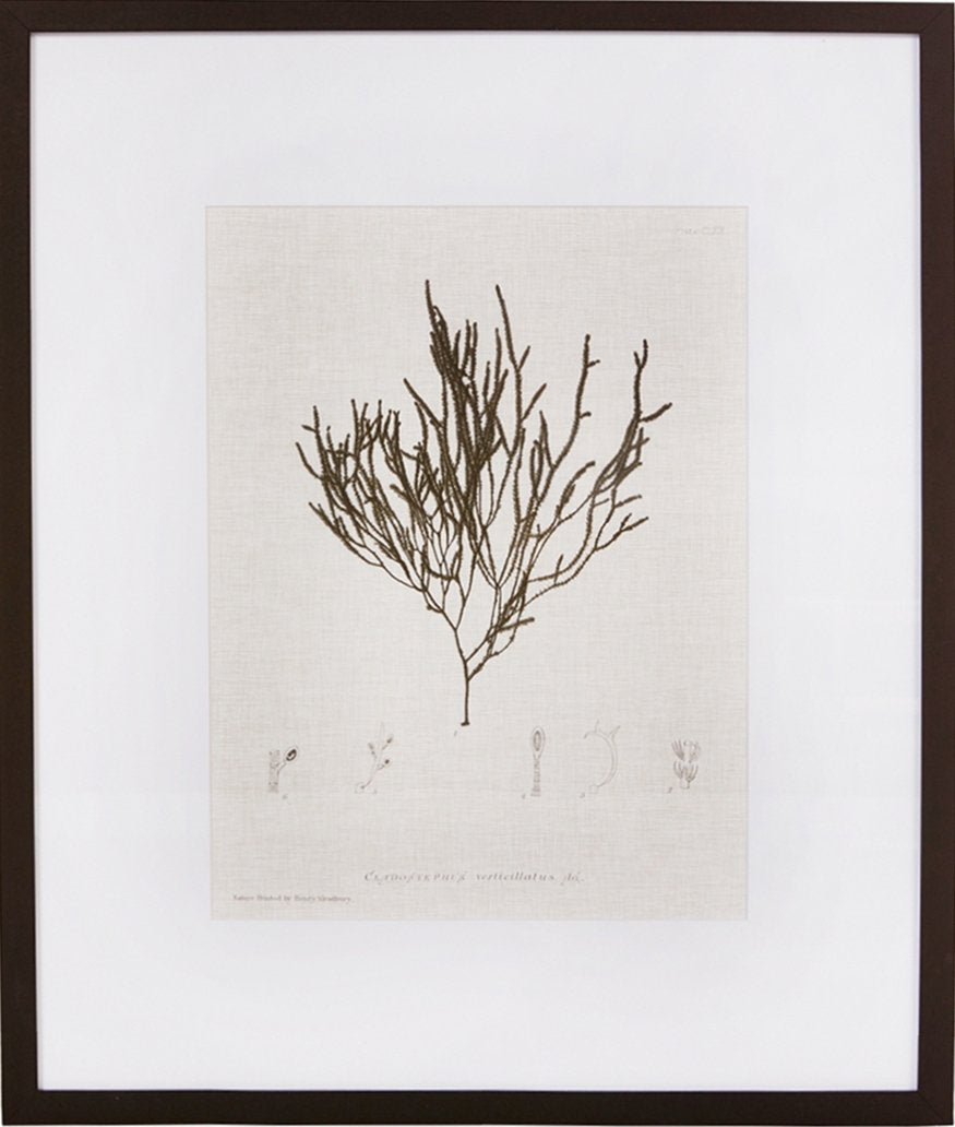 Biella Art framed prints melbourne