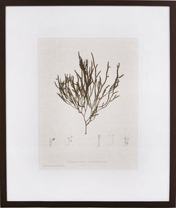 Biella Art framed prints melbourne