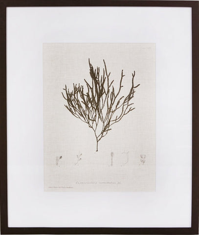 Biella Art framed prints melbourne