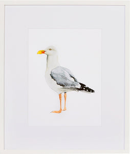 Biella Art framed prints melbourne