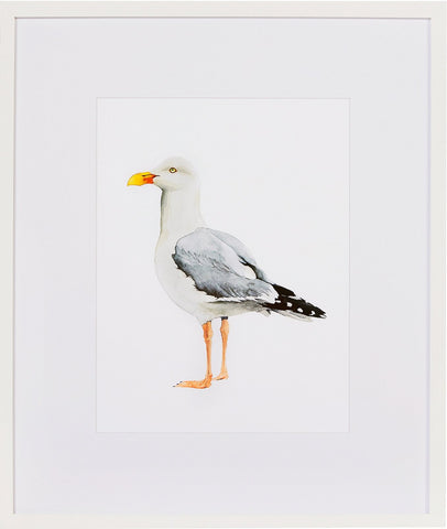 Biella Art framed prints melbourne