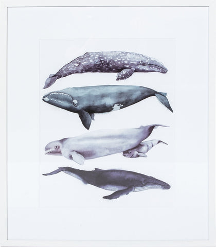 Biella Art framed prints melbourne