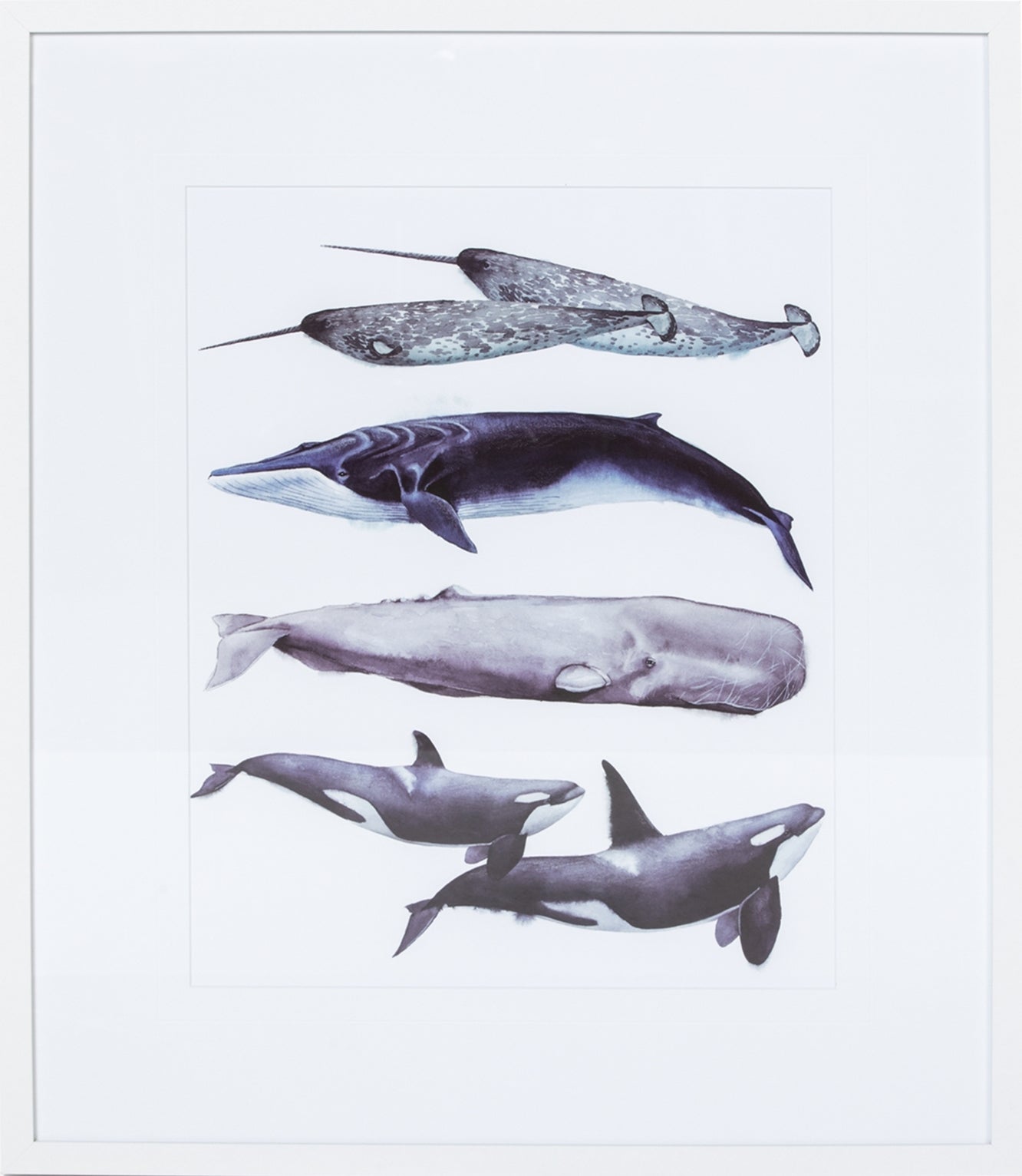 Whale Stack II