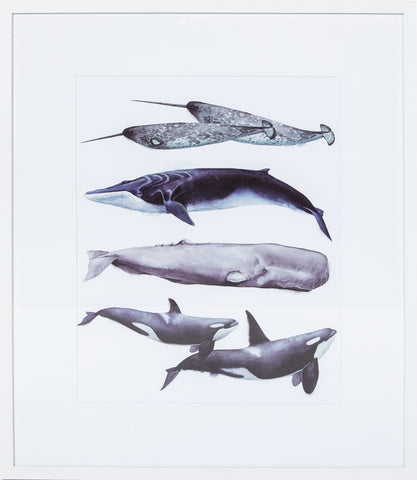Whale Stack II